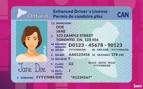 canadian driver's license